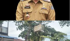 Dinas Lingkungan Hidup Kota Binjai Bantah Isu Permintaan Dana 900 Ribu untuk Penebangan Pohon.