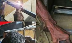 Karya WargaBinaan Dan Pengembangan Keterampilan DI Lapas Kelas IIA Binjai